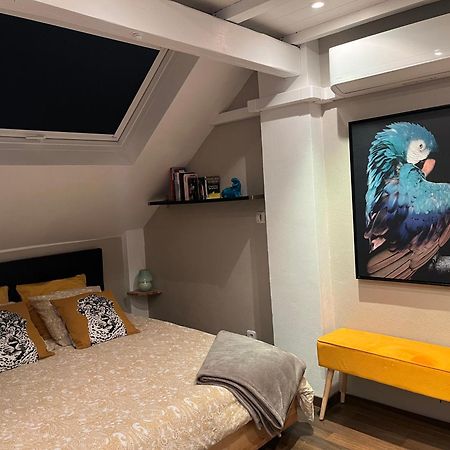 Charmant Duplex Privatise, Climatise, 2 Chambres Strasbourg Ngoại thất bức ảnh