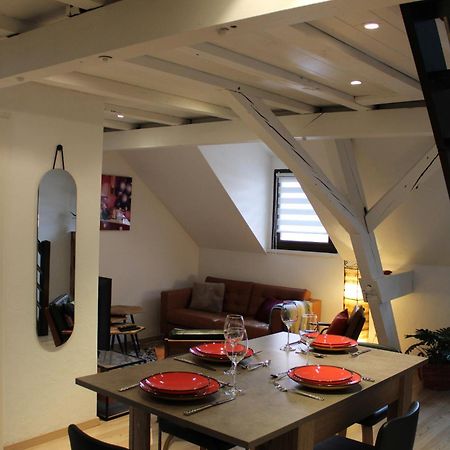 Charmant Duplex Privatise, Climatise, 2 Chambres Strasbourg Ngoại thất bức ảnh
