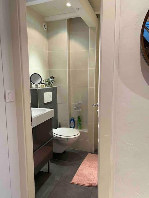 Charmant Duplex Privatise, Climatise, 2 Chambres Strasbourg Ngoại thất bức ảnh