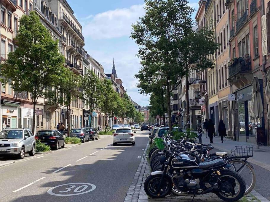 Charmant Duplex Privatise, Climatise, 2 Chambres Strasbourg Ngoại thất bức ảnh