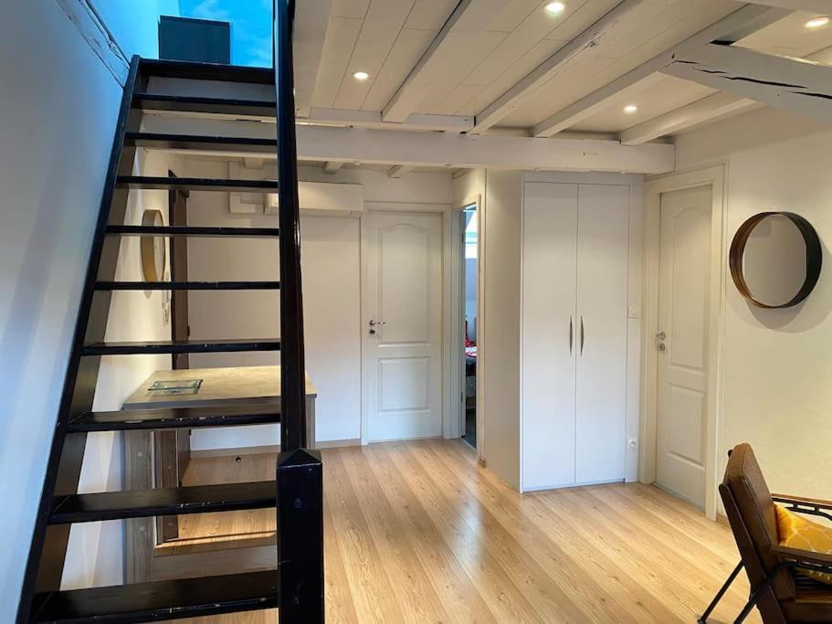 Charmant Duplex Privatise, Climatise, 2 Chambres Strasbourg Ngoại thất bức ảnh