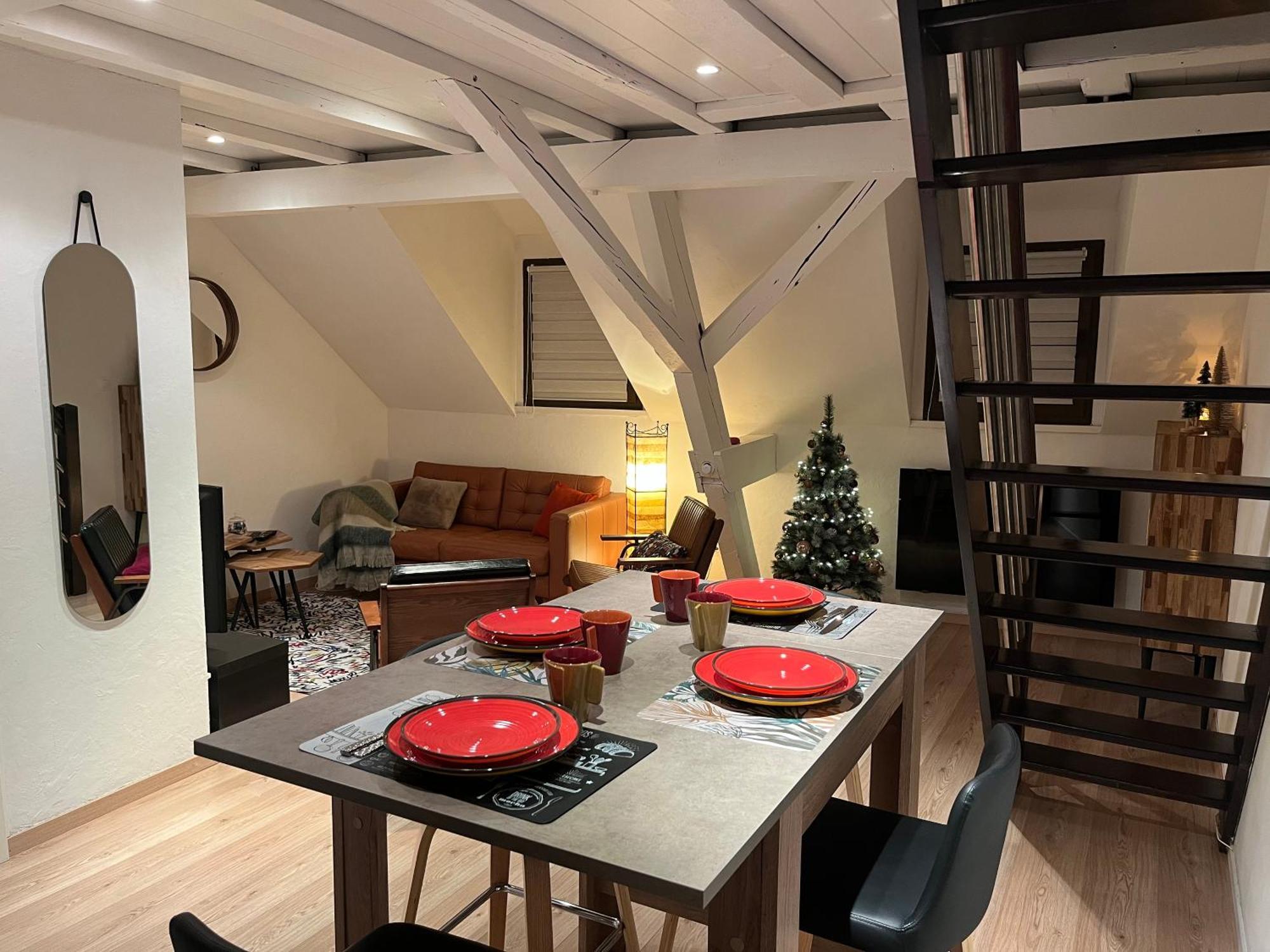 Charmant Duplex Privatise, Climatise, 2 Chambres Strasbourg Ngoại thất bức ảnh