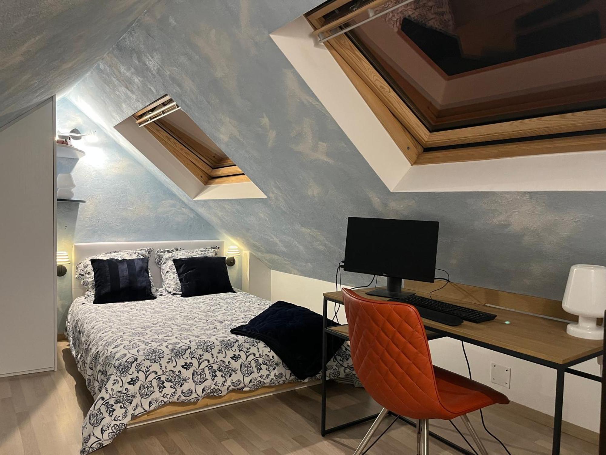Charmant Duplex Privatise, Climatise, 2 Chambres Strasbourg Ngoại thất bức ảnh