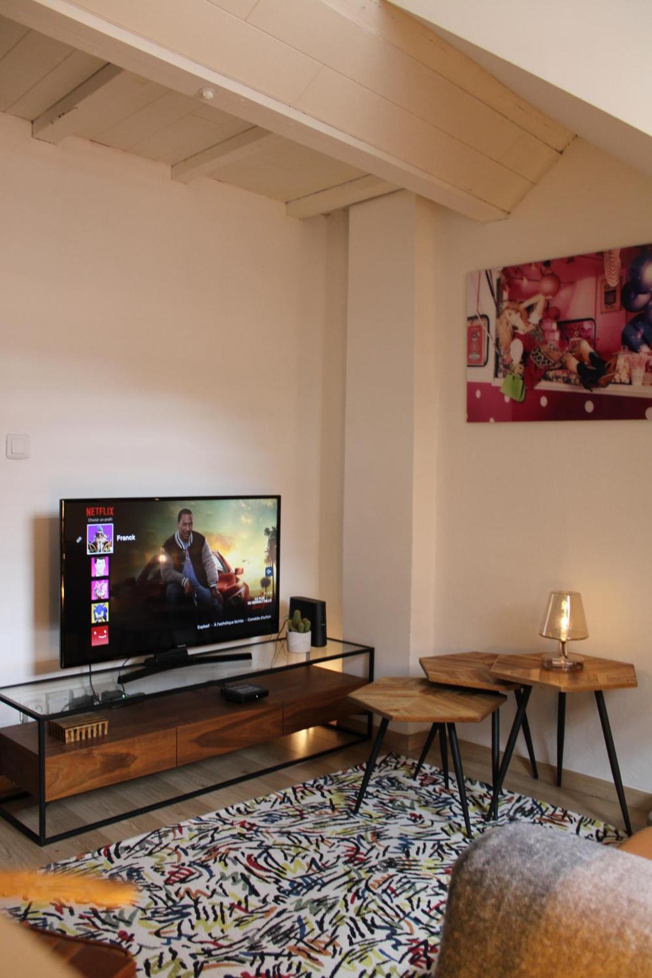 Charmant Duplex Privatise, Climatise, 2 Chambres Strasbourg Ngoại thất bức ảnh