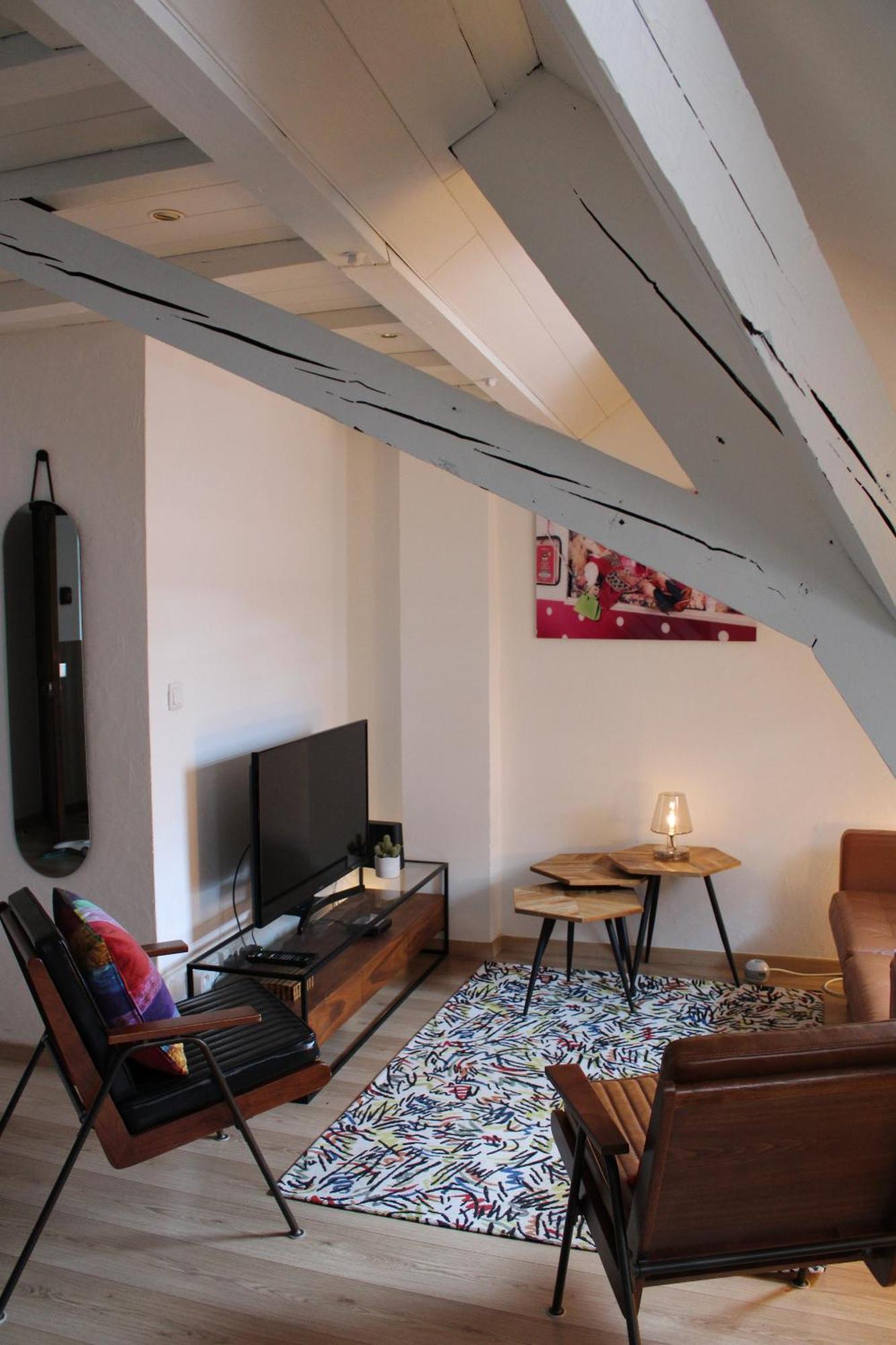Charmant Duplex Privatise, Climatise, 2 Chambres Strasbourg Ngoại thất bức ảnh